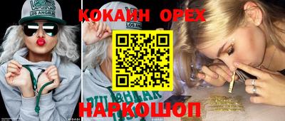дмт Обь
